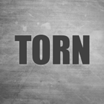 TORN Unlimited Money Mod Apk 2.2.27