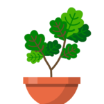 Terrarium Garden Idle Unlimited Money Mod Apk 1.31.4