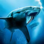 Helicoprion Simulator Unlimited Money Mod Apk 1.2.1