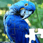 Jigsaw Puzzles – Puzzle Games Unlimited Money Mod Apk 3.177